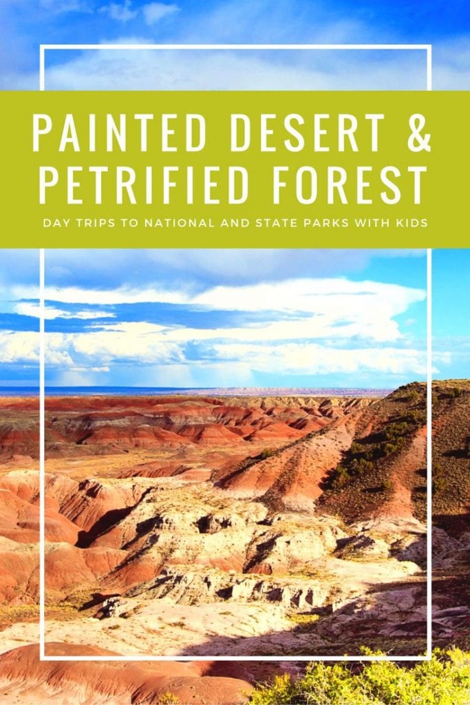 Painted Desert and Petrified Forest