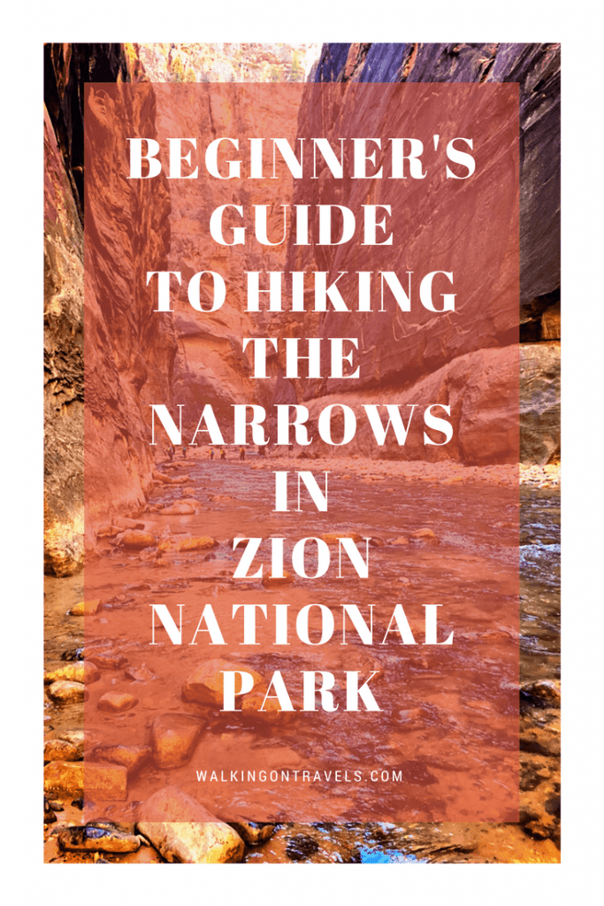 Beginner's Guide to Hiking the Zion Narrows when you are in Zion National Park #nationalparks #zion #hiking